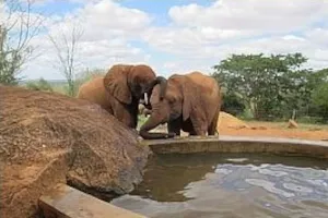 Tassia et Shimba Tassia et Shimba