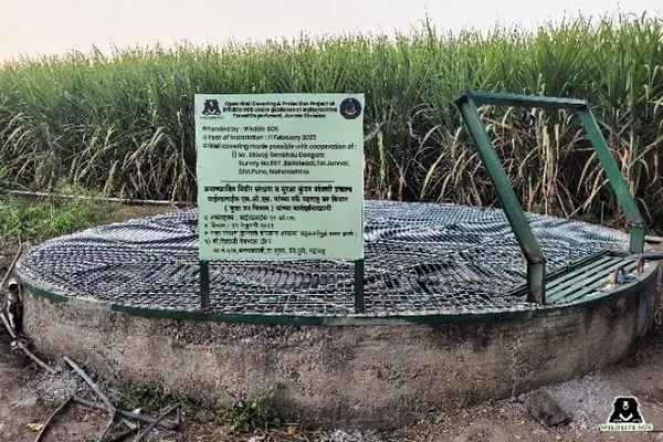 Puits protégé avec des grillages